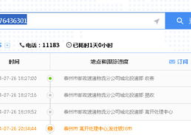 赛澳递快递查询,从托运到签收的全程物流解析”