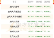 加元兑换人民币汇率,加元兑人民币汇率动态与兑换指南”