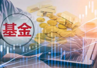 519993基金,稳健投资策略与市场前景分析”