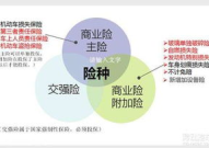 保险险种,保险险种分类与保障功能概述