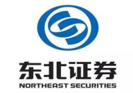 东北证券官网,综合金融服务引领者，稳健发展成就辉煌”