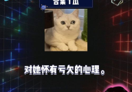 娱乐圈吃瓜爆音乐节,音乐节成吃瓜热点，明星幕后故事大揭秘