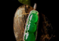 通什翡翠商城,翡翠珍品汇聚，投资收藏首选之地