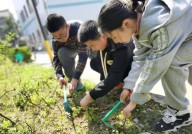 校园热瓜种瓜点豆！“双减”之后努力做“加法”富阳这所小学将课堂搬到了田间