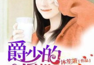 误惹豪门爵少的迷糊新娘正版,迷糊新娘与神秘爵少的甜蜜纠葛