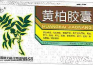 黄柏胶囊,传统中药的现代应用与疗效解析