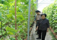 娱乐吃瓜君高压水枪,高压水枪背后的娱乐风云