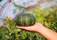 瑞虎7大连优惠15万现车弥漫，子虚鼓吹买一楼送独立庭院蚌埠市杭都房地产公司被处理及多星吃瓜秘闻全揭秘必知演艺圈大瓜幼瓜！