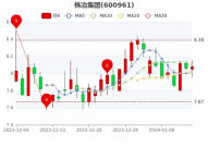 株冶集团股票,解析其市场表现与投资价值
