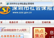 深圳社保网,一站式社保查询与办理指南